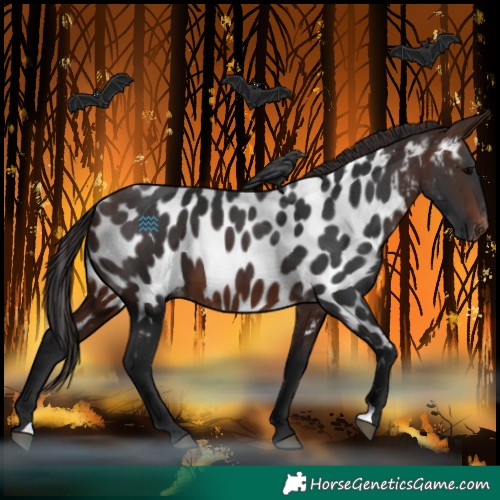 Horse Color:Brown Near Leopard 