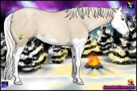 Horse Color:Palomino Pearl Splash