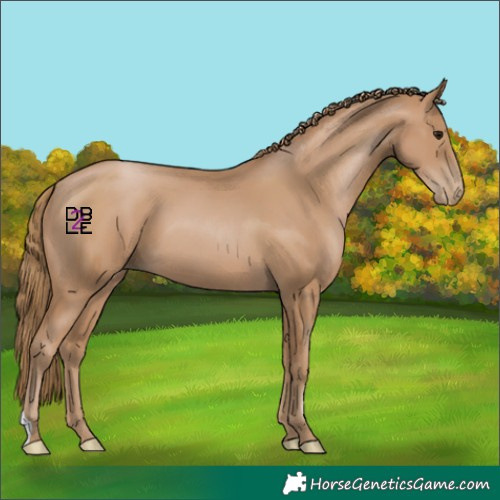 Horse Color:Black Pearl 