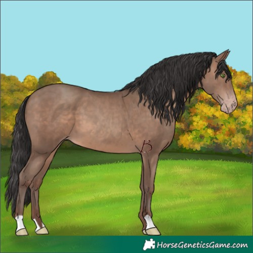Horse Color:Sable Champagne