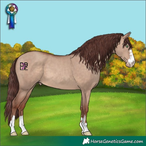 Horse Color:Chocolate Sable Champagne Dun 
