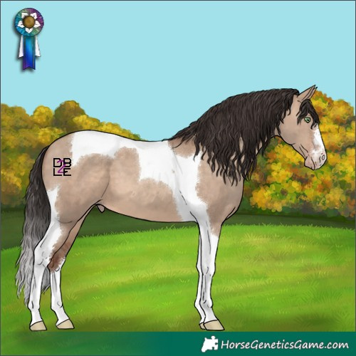 Horse Color:Sable Champagne Dun Tobiano 