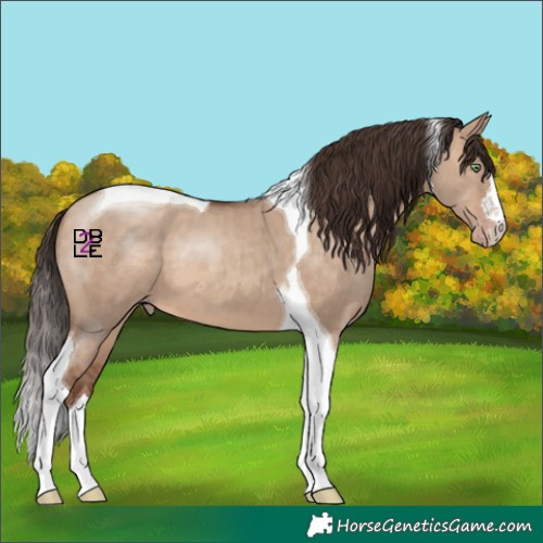 Horse Color:Sable Champagne Dun Tobiano