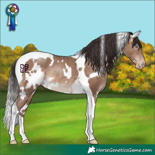 Horse Color:White Spotted Sable Champagne Tobiano