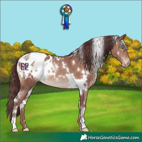 Horse Color:White Spotted Chocolate Sable Champagne Blanket