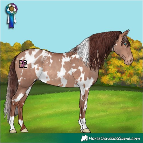 Horse Color:White Spotted Chocolate Sable Champagne Varnish