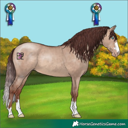 Horse Color:Chocolate Sable Champagne Dun
