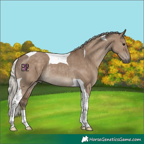 Horse Color:Silver Grullo Tobiano Rabicano