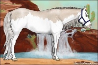 Horse Color:Chocolate Palomino Pearl Splash