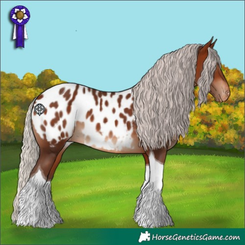 Horse Color:Silver Brown Tobiano Blanket 