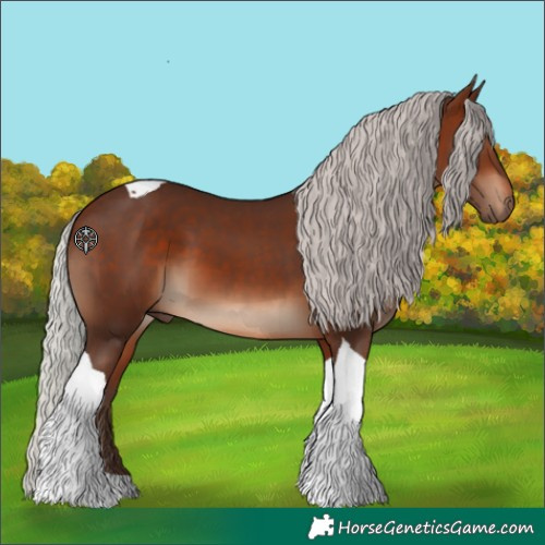 Horse Color:Silver Brown Tobiano