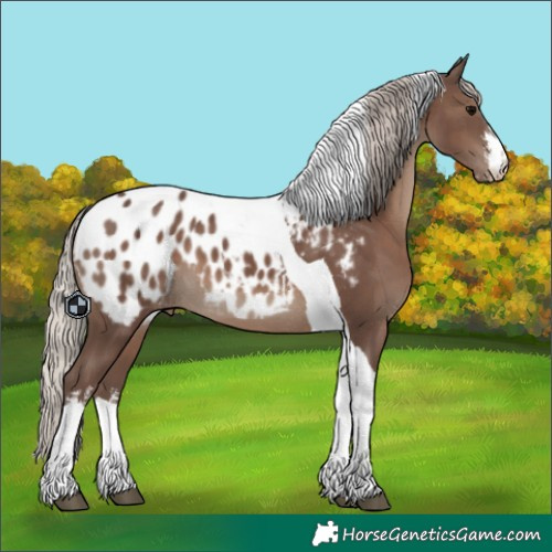 Horse Color:White Spotted Silver Black Tobiano Blanket