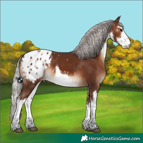 Horse Color:White Spotted Silver Brown Blanket 