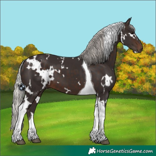 Horse Color:White Spotted Silver Brown Tobiano 