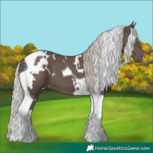 Horse Color:White Spotted Silver Black Tobiano