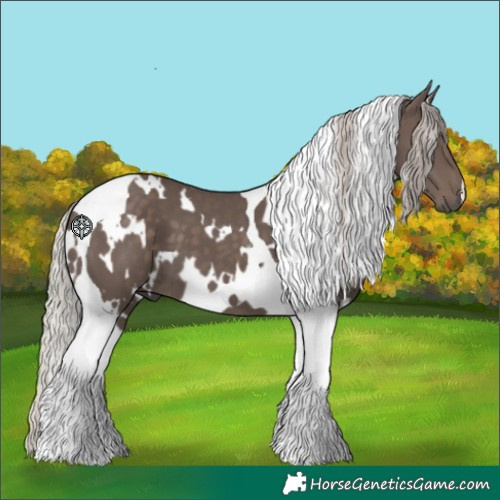 Horse Color:White Spotted Silver Black Tobiano 