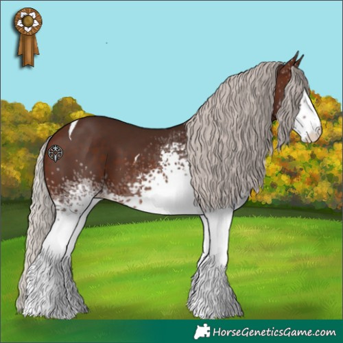 Horse Color:White Spotted Silver Brown Tobiano 
