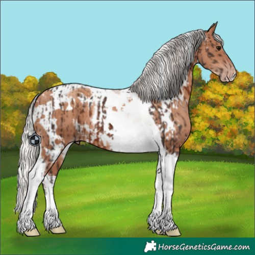 Horse Color:White Spotted Silver Brown Tobiano and White Spotted Silver Classic Champagne Tobiano