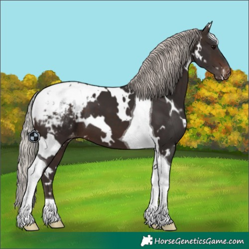 Horse Color:White Spotted Silver Brown Tobiano Blanket