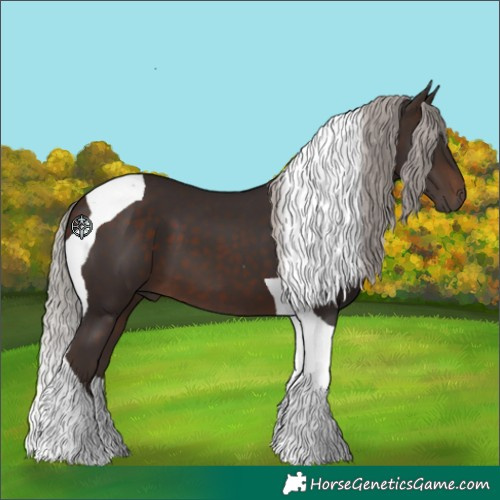 Horse Color:Silver Brown Tobiano