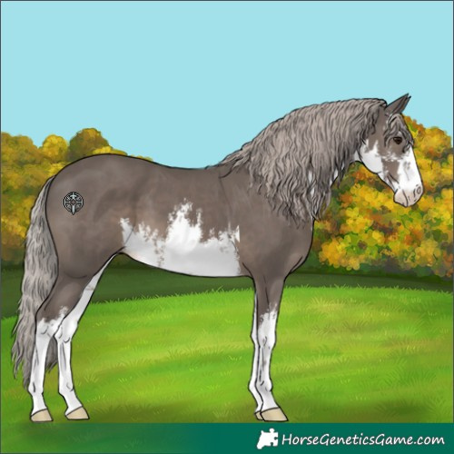 Horse Color:White Spotted Silver Black 