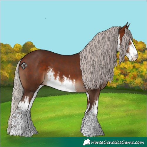 Horse Color:White Spotted Silver Brown 
