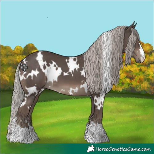 Horse Color:White Spotted Silver Black
