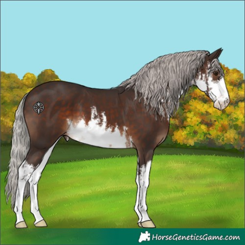 Horse Color:White Spotted Silver Brown 