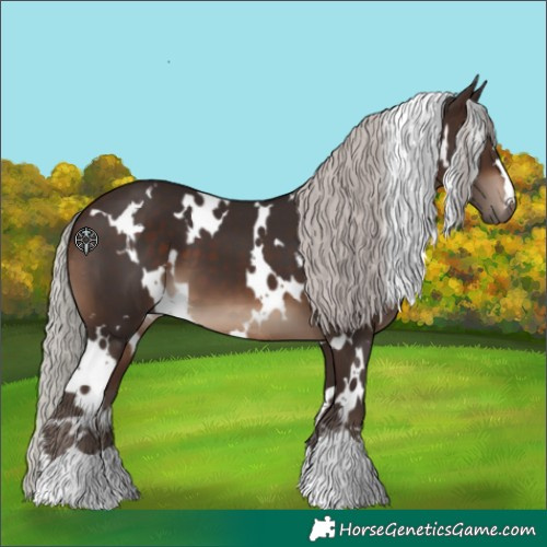 Horse Color:White Spotted Silver Brown