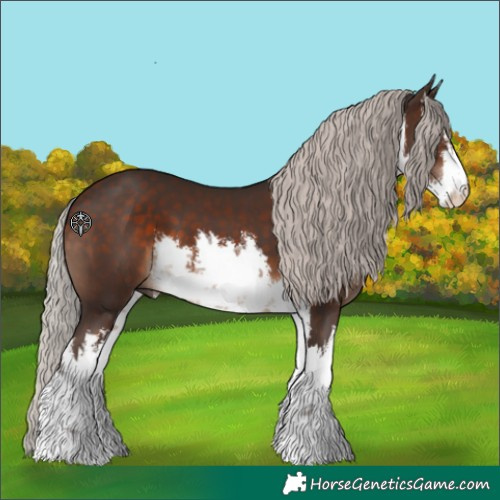 Horse Color:White Spotted Silver Brown