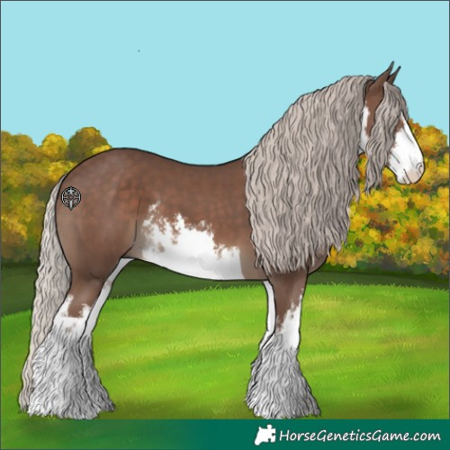 Horse Color:White Spotted Silver Black
