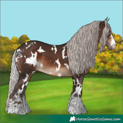 Horse Color:White Spotted Silver Brown