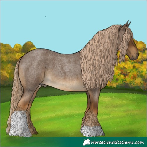 Horse Color:Chocolate Palomino Roan Tobiano
