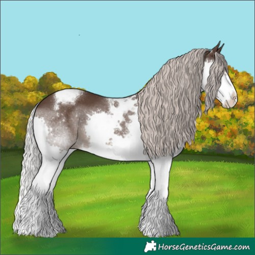 Horse Color:Silver Black Splash Tobiano 
