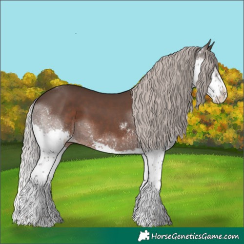 Horse Color:Silver Black Sabino Splash Tobiano Rabicano 