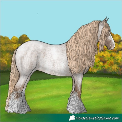 Horse Color:Chocolate Palomino Roan Sabino 