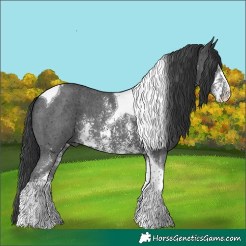 Horse Color:Black Sabino Tobiano