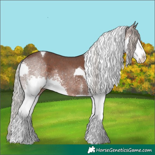 Horse Color:Silver Black Sabino Splash Tobiano Rabicano