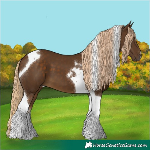 Horse Color:Chocolate Palomino Tobiano 