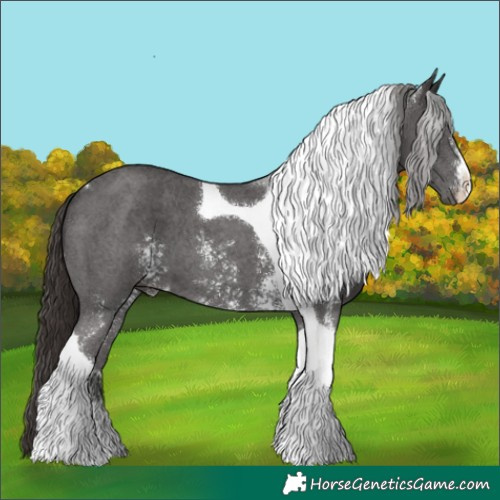 Horse Color:Liver Chestnut Sabino Tobiano