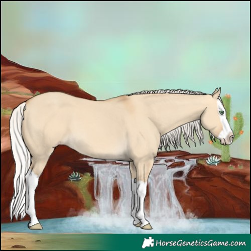 Horse Color:Silver Sable Cream Champagne Dun Splash 