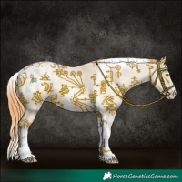 Horse Color:Gold Champagne Roan Dun Splash Tobiano Frame Blanket Rabicano 