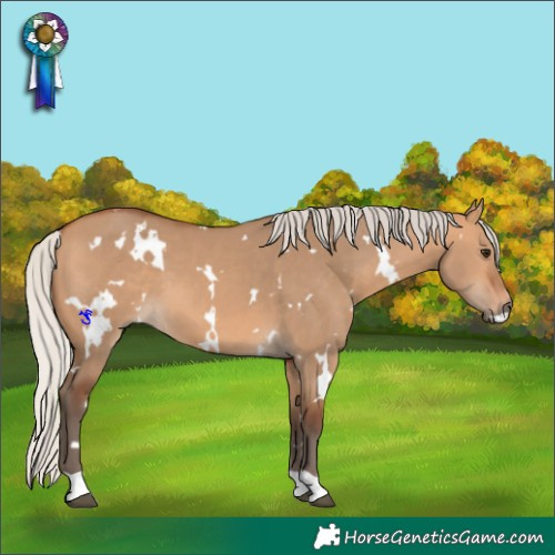 Horse Color:White Spotted Silver Bay Dun