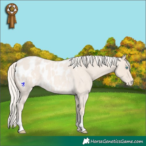 Horse Color:Cremello Roan Blanket
