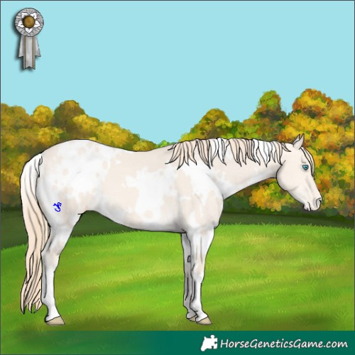 Horse Color:White Spotted Perlino Dun Blanket