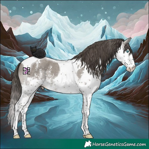 Horse Color:Grullo Sabino Splash Tobiano Skewed LP Spotted 