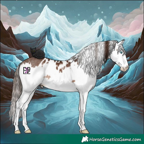 Horse Color:Liver Chestnut Splash Skewed LP Spotted