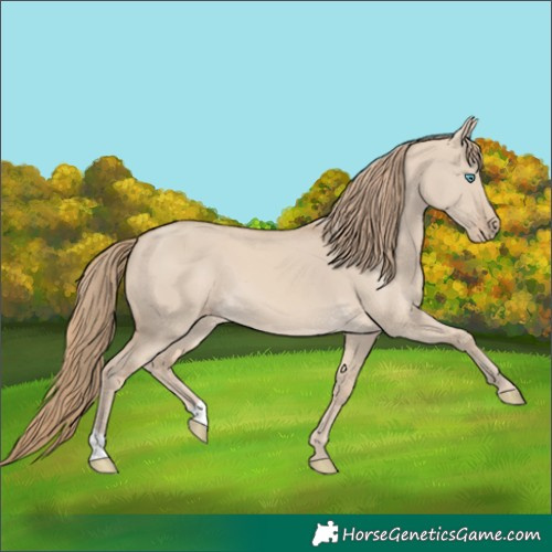 Horse Color:Smoky Creme Dun 