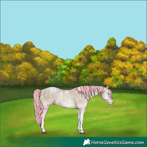 Horse Color:Powder White Platinum Painted Watercolor Chocolate Silver Blue Onyx Chinchilla Pearl Mushroom Brindle
