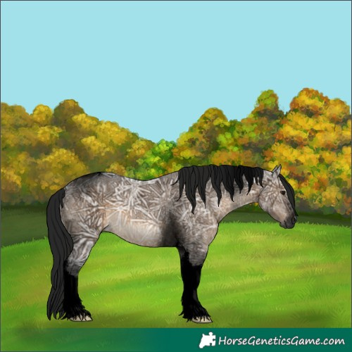 Horse Color:Gray Void Brown Ice Dun Tobiano 